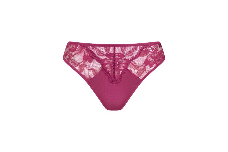 Robin brazilian 22361 DA Wild rose