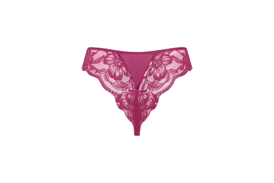 Robin brazilian 22361 DA Wild rose